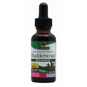 Bladderwrack Thallus Liquid Extract, 1 fl oz (30 mL) Dropper Bottle