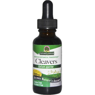 Cleavers Liquid Extract Alcohol Free, 1 fl oz (30 mL) Dropper Bottle