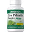 Saw Palmetto Complex, 900 mg (per serving), 100 Capsules