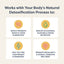3-Day Cleanse Total Body Reset