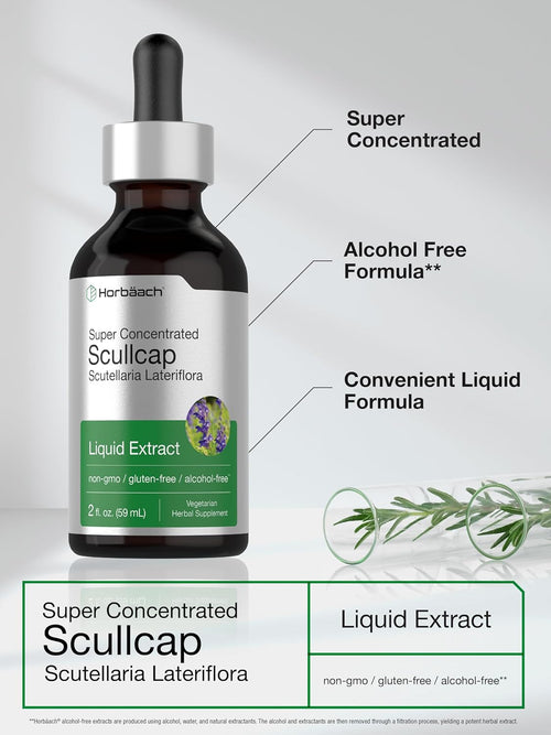Scullcap Liquid Extract Alcohol Free, 2 fl oz (59 mL) Dropper Bottle