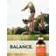 Hemp Seed Oil (Cold Pressed), 925 mg, 4 fl oz (118 mL) Dropper Bottle