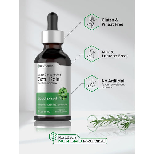 Gotu Kola Liquid Extract Alcohol Free, 2 fl oz (59 mL) Dropper Bottle