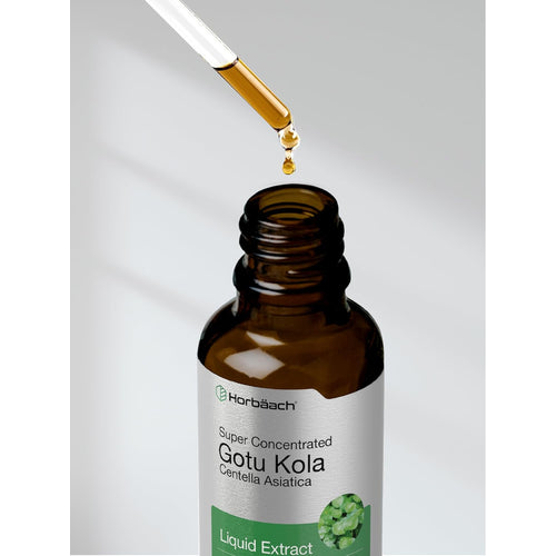Gotu Kola Liquid Extract Alcohol Free, 2 fl oz (59 mL) Dropper Bottle