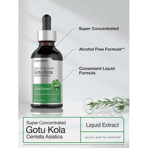 Gotu Kola Liquid Extract Alcohol Free, 2 fl oz (59 mL) Dropper Bottle