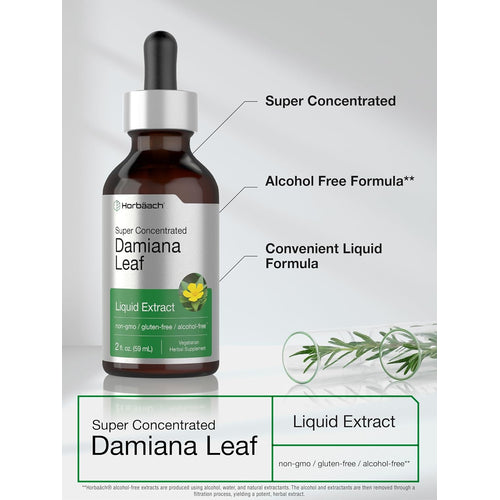 Damiana Leaf Liquid Extract Alcohol Free, 2 fl oz (59 mL) Dropper Bottle