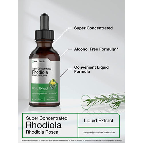 Rhodiola Liquid Extract Alcohol Free, 2 fl oz (59 mL) Dropper Bottle