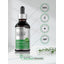 Gotu Kola Liquid Extract Alcohol Free, 2 fl oz (59 mL) Dropper Bottle