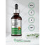 Super Concentrated Burdock Root Liquid Extract, 2 fl. oz. (59 mL), non-gmo, gluten-free, alcohol-free, Vegetarian Herbal Supplement.
