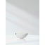 CL Skin Rejuvenator with Verisol 300 gm Powder, displayed as white powder in a clear glass bowl.