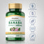 Banaba Extract (0.6 mg Corosolic Acid), 600 mg, 200 Quick Release Capsules, 2  Bottles