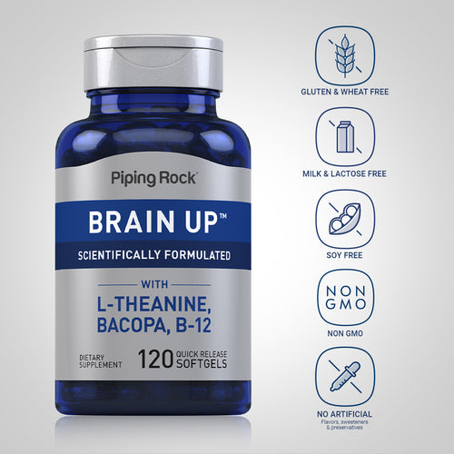 Brain Up, 120 Quick Release Softgels