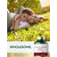 Lifestyle image of an adult and child lying together on grass with Carlyle Black Cherry Extract 2800 mg bottle and graphic stating WHOLESOME.