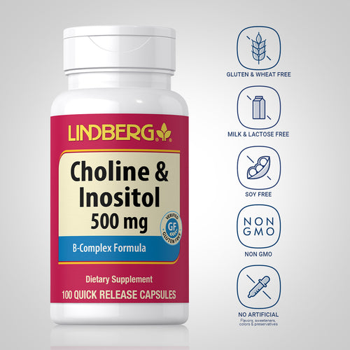 Choline & Inositol 500 mg, 100 Quick Release Capsules