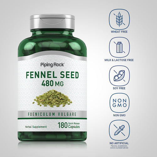 Fennel Seed, 480 mg, 180 Quick Release Capsules