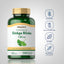 Ginkgo Biloba Standardized Extract, 120 mg, 200 Quick Release Capsules, 2  Bottles