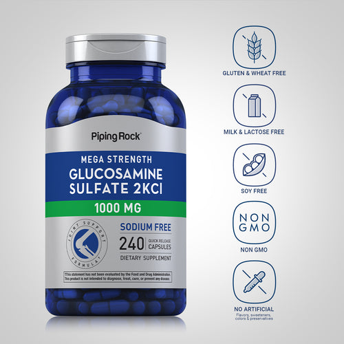 Mega Glucosamine Sulfate, 1000 mg, 240 Quick Release Capsules
