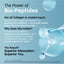 Product highlights graphic stating enzymatically simplified Bio-Peptides for superior absorption and bioavailability, Superior You.