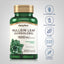 Mullein Leaf (Gordolobo), 1500 mg (per serving), 200 Quick Release Capsules, 2  Bottles