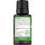 Peppermint Pure Essential Oil, 1/2 fl oz (15 mL) Dropper Bottle