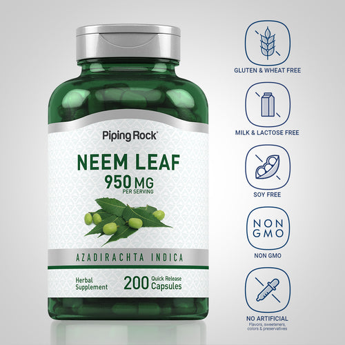 Neem Leaf, 950 mg (per serving), 200 Quick Release Capsules