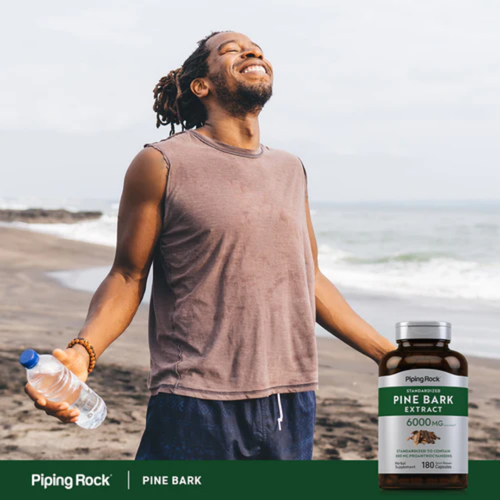 Pine Bark  Extract, 6000 mg, 180 Quick Release Capsules, 2  Bottles