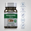 Pycnogenol, 100 mg, 30 Quick Release Capsules, 2  Bottles