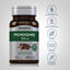Pycnogenol, 50 mg, 60 Quick Release Capsules, 2  Bottles