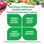 Product highlights graphic stating SUPPORTS OVERALL WELLNESS*, NERVOUS SYSTEM HEALTH*, ENERGY METABOLISM & VITALITY*, SUPPORTS DIGESTION*