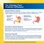 Product highlights graphic stating Delayed Release Capsule, Microbiome Optimal Balance, Multi Strain Benefits with 31 different probiotic strains.