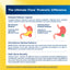 Product highlights graphic stating delayed release resists stomach acid, maintains optimal microbiome with 31 Bifidobacteria strains.