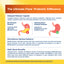 Product highlights graphic stating delayed release for intestinal delivery, high Bifidobacteria for balanced microbiome, 12 probiotic strains.