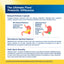 Product highlights graphic stating delayed release capsules resist stomach acid, formulated high in Bifidobacteria for balanced microbiome, and contains 31 beneficial strains.