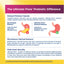 Product highlights graphic stating Delayed release resists stomach acid, High Bifidobacteria for microbiome balance, 27 beneficial probiotic strains.