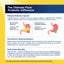Product highlights graphic stating delayed release ensures probiotics reach tract, high Bifidobacteria for microbiome balance, 31 probiotic strains.