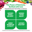 Product highlights graphic stating SUPPORTS OVERALL WELLNESS*, NERVOUS SYSTEM HEALTH*, ENERGY METABOLISM & VITALITY*, SUPPORTS DIGESTION*