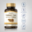 Turkey Tail Mushroom, 1200 mg (per serving), 200 Quick Release Capsules, 2  Bottles
