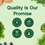 Greens Powder Unflavored (Organic), 5.3 oz (150 g) Bottle
