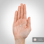 Tablet with a thickness of 0.312 inches (0.793 cm) shown on a hand scale for precise measurement.