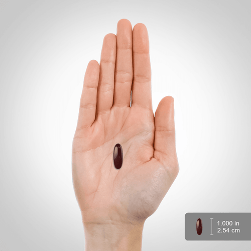 Black Seed Oil, 1000 mg, 120 Quick Release Softgels, 2  Bottles