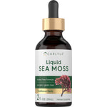 Carlyle Liquid Sea Moss 2 fl. oz. (59mL) is an alcohol-free, non-GMO, and gluten-free traditional herb supplement.