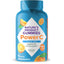 Nature's Product Power C Sugar Free Gummies, orange flavor, 250mg per serving, 90 count dietary supplement.