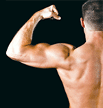 Whey vs. casein protein